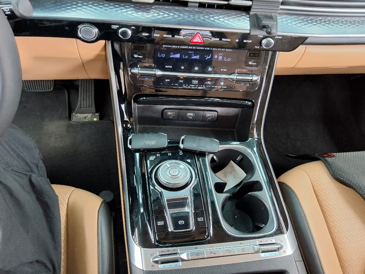 Kia Carnival-gal_15